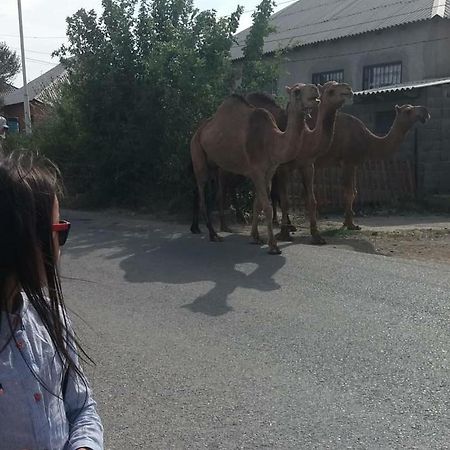 Vip Hostel Turkistan エクステリア 写真