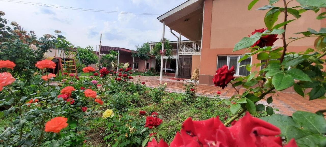 Vip Hostel Turkistan エクステリア 写真